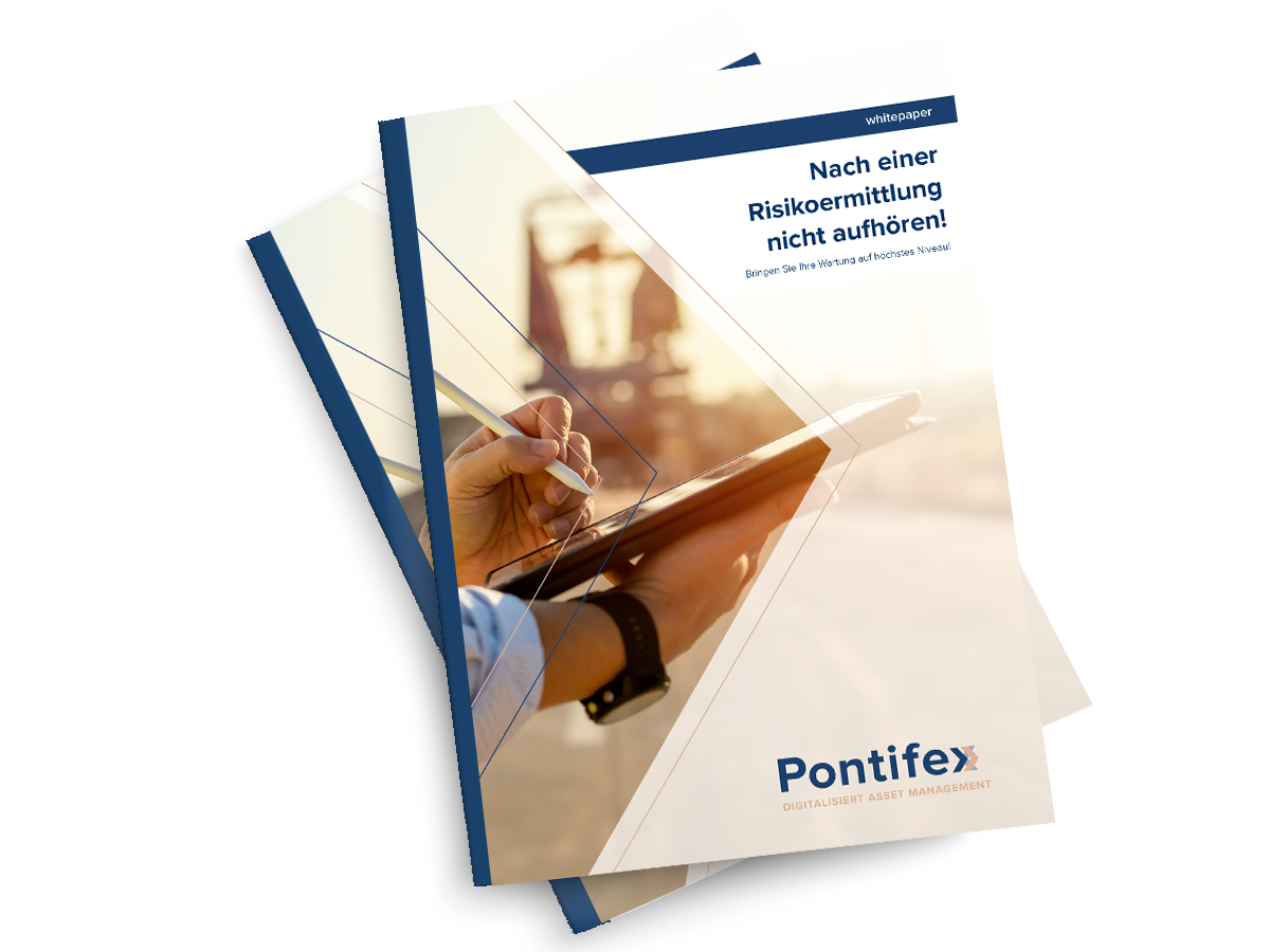 whitepapers_risikoermittlung